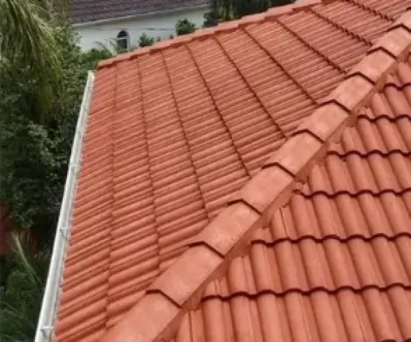 Expert Roof Cleaning Cabramatta Expert Roof Cleaning Cabramatta
