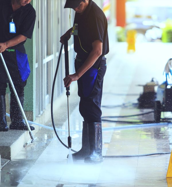 Professional Pressure Washing Casula
