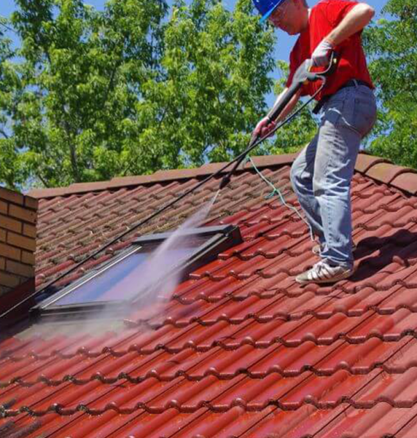 Roof Cleaning Revesby