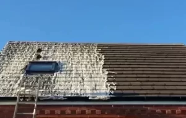 Roof Cleaning Services Revesby